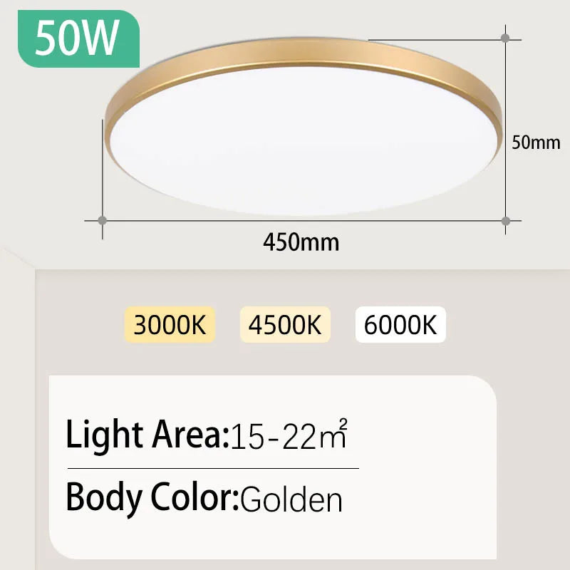 Modern LED Ceiling Lamp Chandelier LED Panel Lamp Bedroom Ceiling Light Kitchen Led Lighting for Living Room Home Decor Luminair